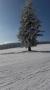 gal/2017/04_Kasperske hory a Zadov/_thb_20170213_102522.jpg